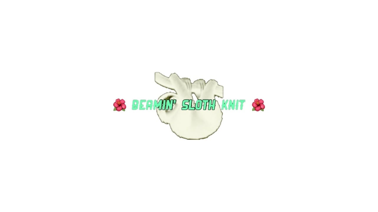 Beamin' Sloth Knit