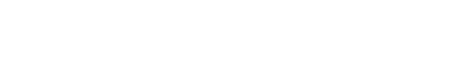 STORM OF VOID MERCH STORE