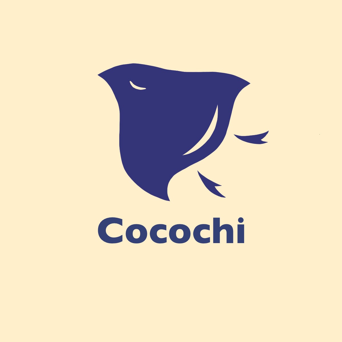 cocochi
