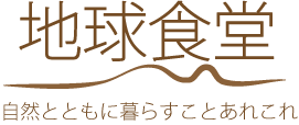 地球食堂　高知県産無農薬生姜と天日塩