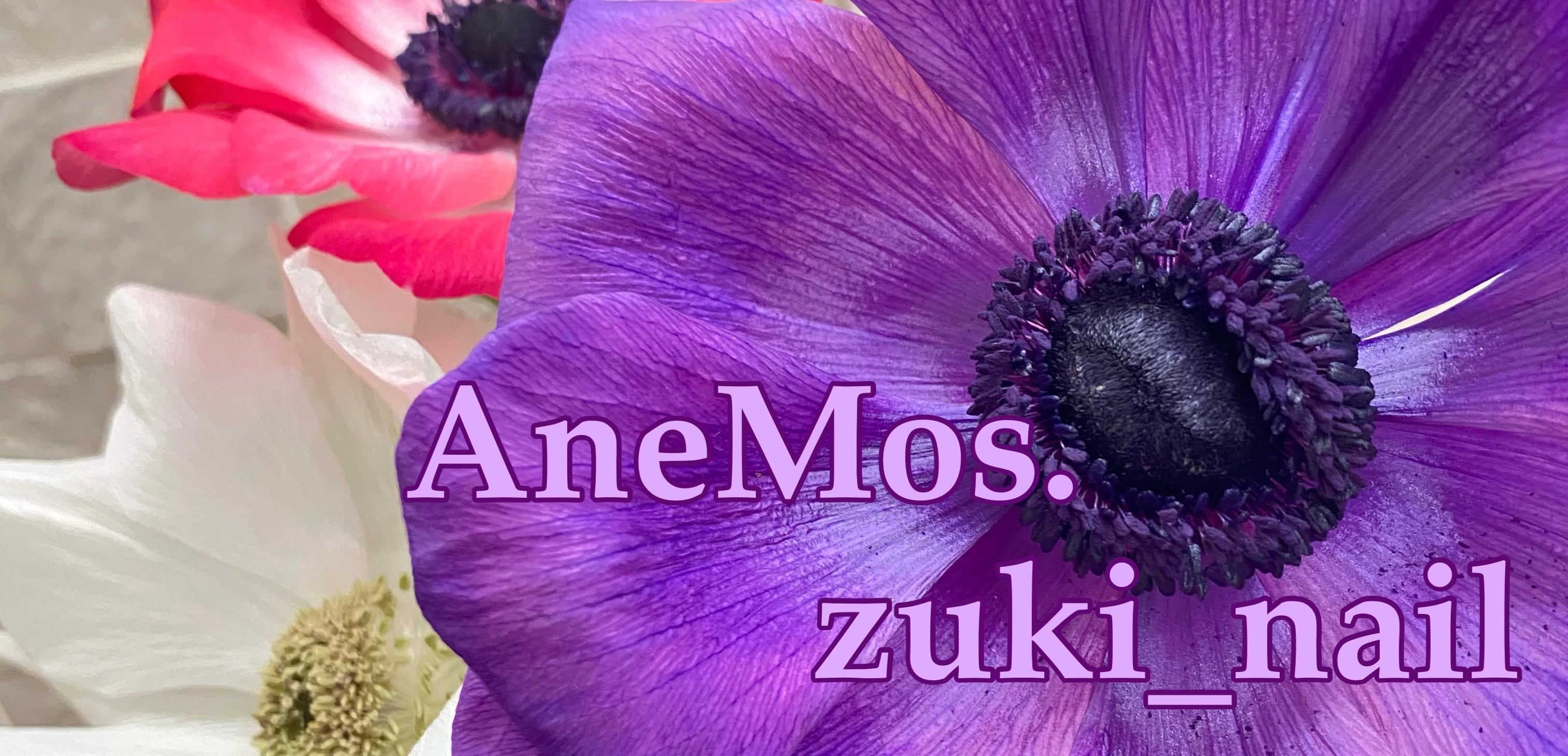 anemos.zuki_nail