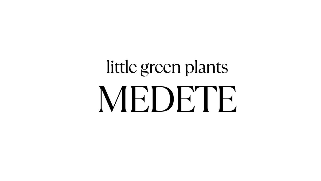 little green plants MEDETE