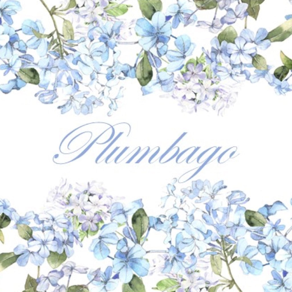 plumbago