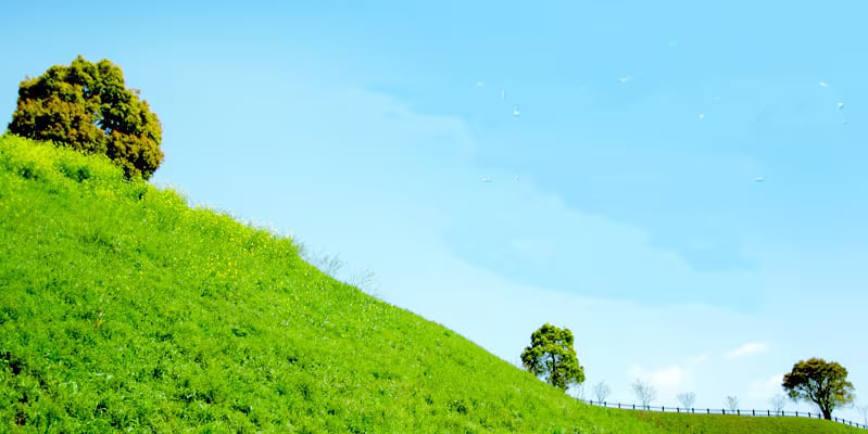 ギフト村