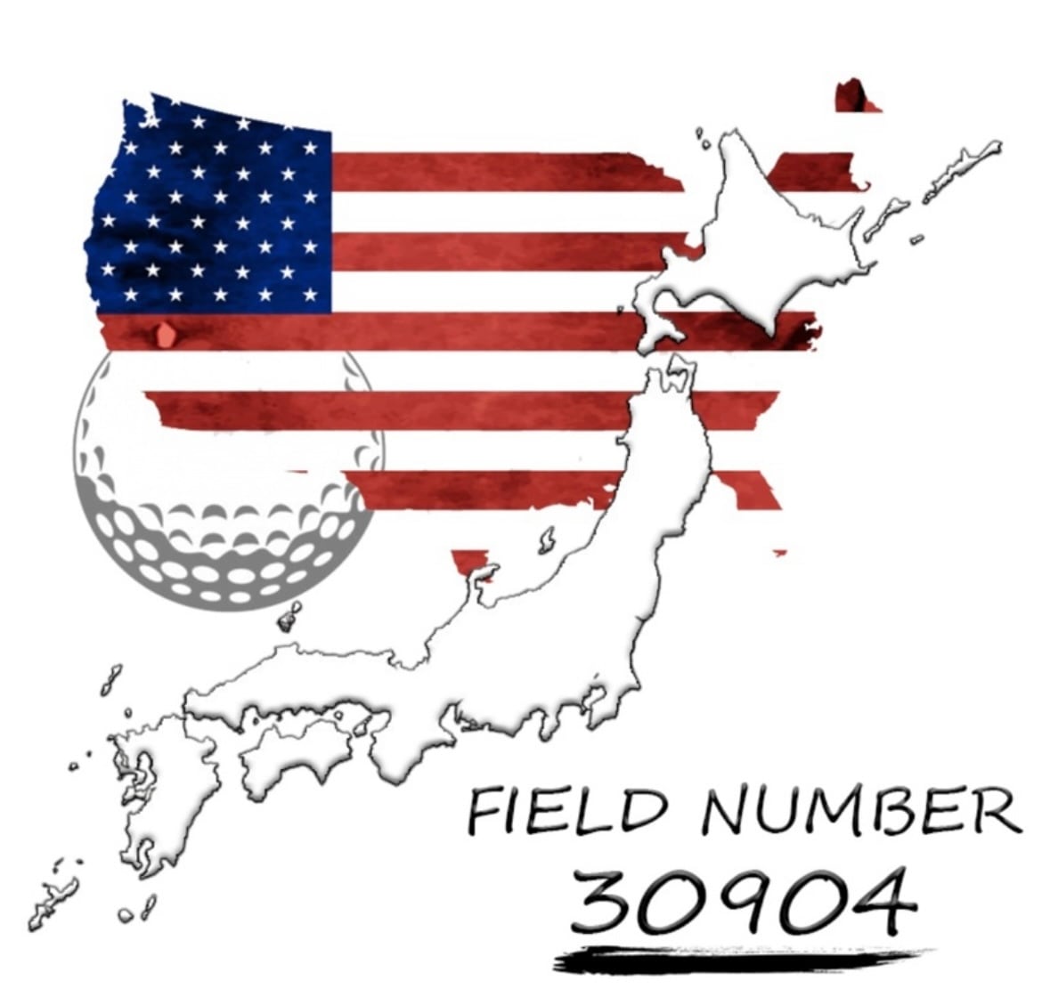 フィールドナンバー 30904