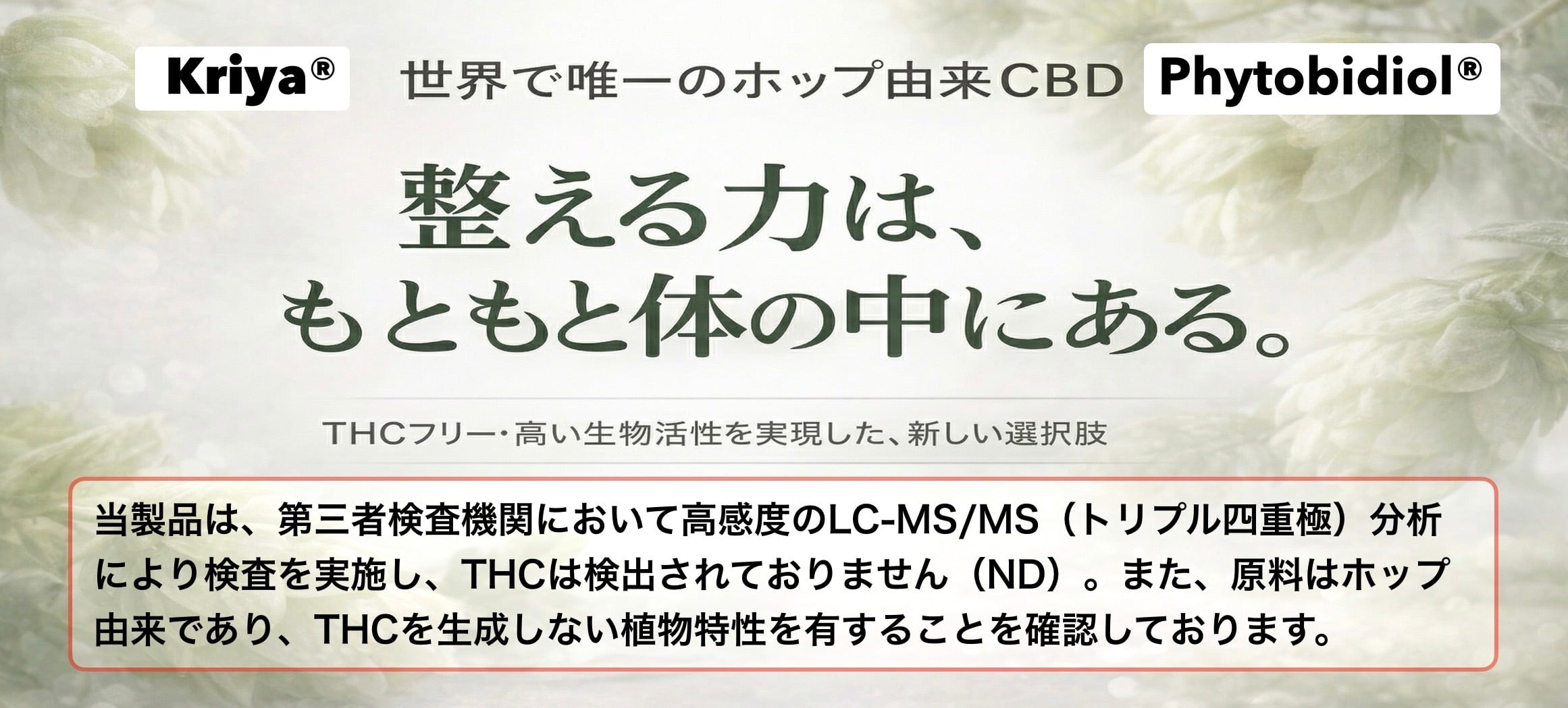 ホップCBD PHYTO  Shop