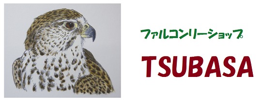 falconry shop TSUBASA