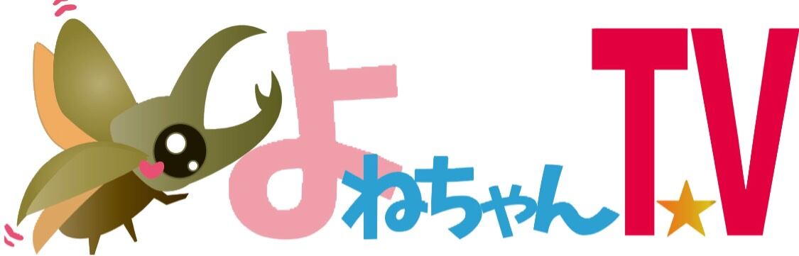 国内発送 よねちゃんTV☆ トップス