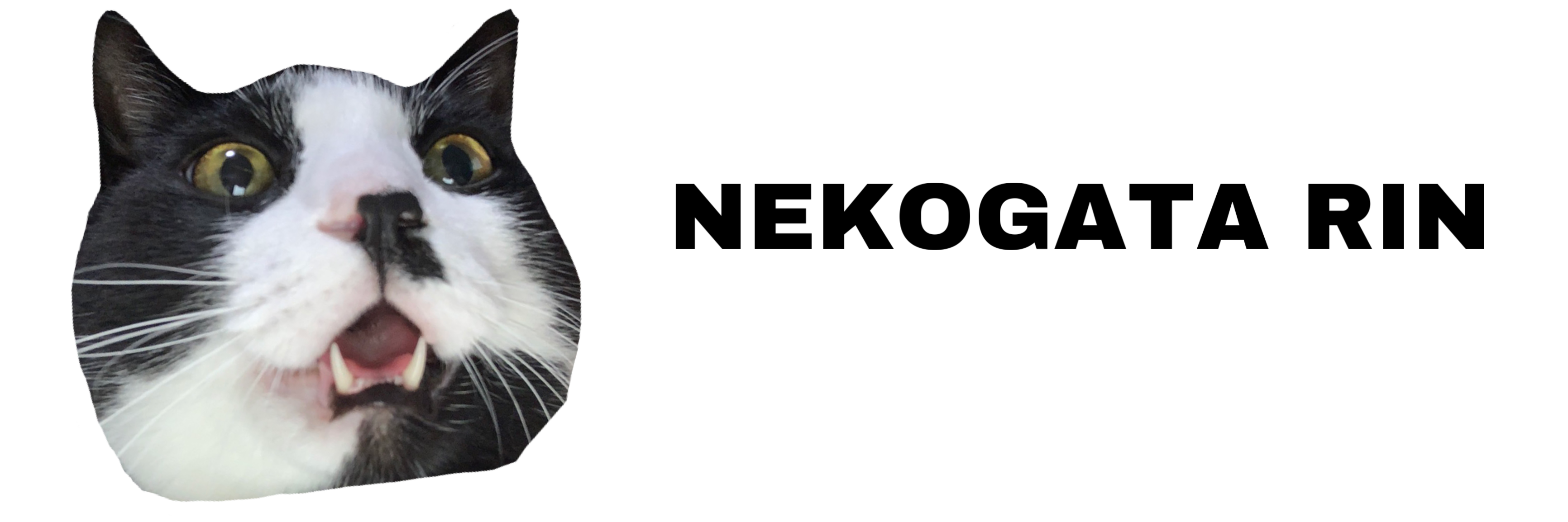 ネコガタ リン　web shop