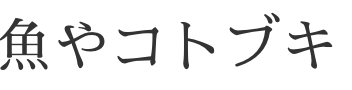 沼津港　魚やコトブキ