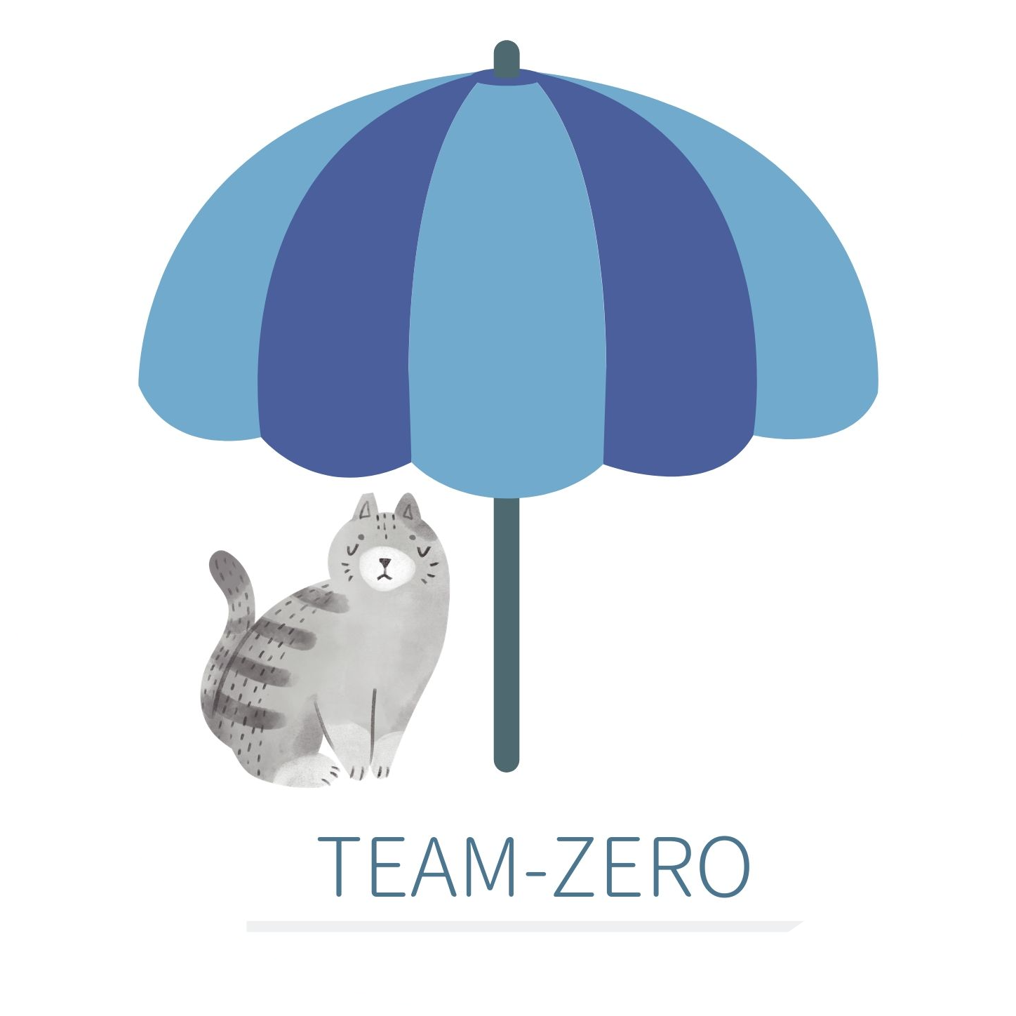 teamzero