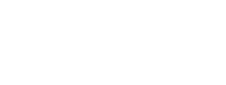 Altero Custom Guitars Online Shop