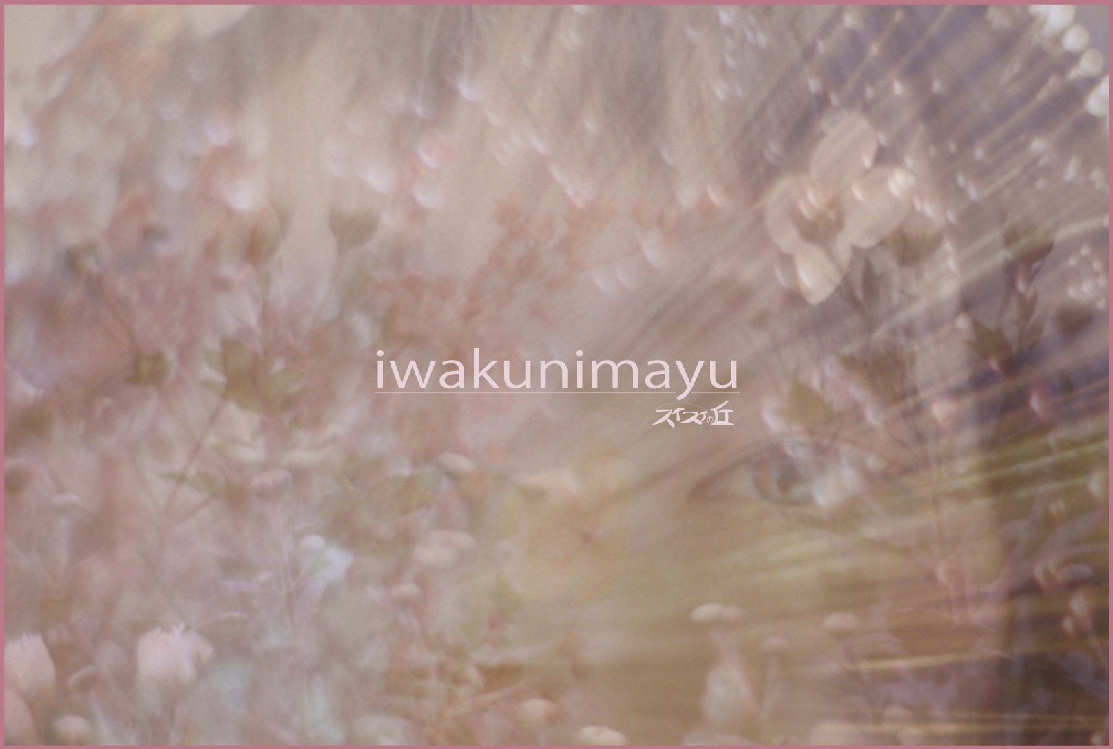 iwakunimayu