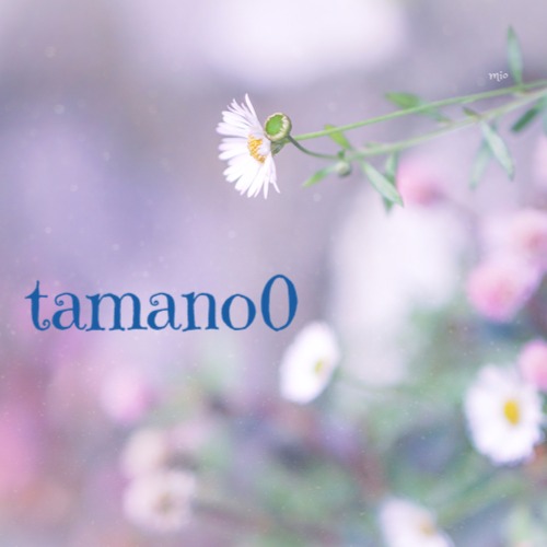 tamano0 (たまのお)