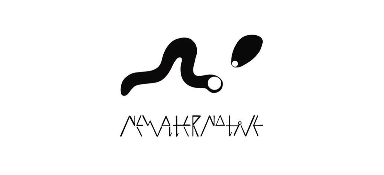 NEW ALTERNATIVE / ISI  PRESS