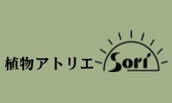 植物アトリエsori