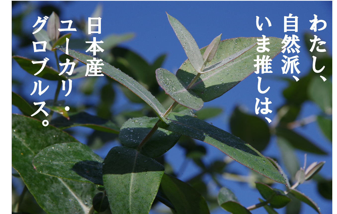 山形開発2019店
