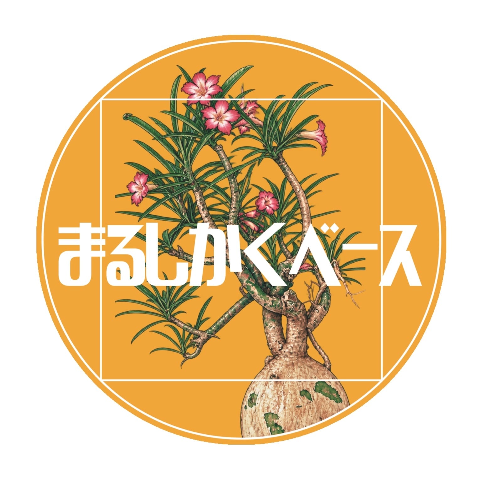 まるしかくベース