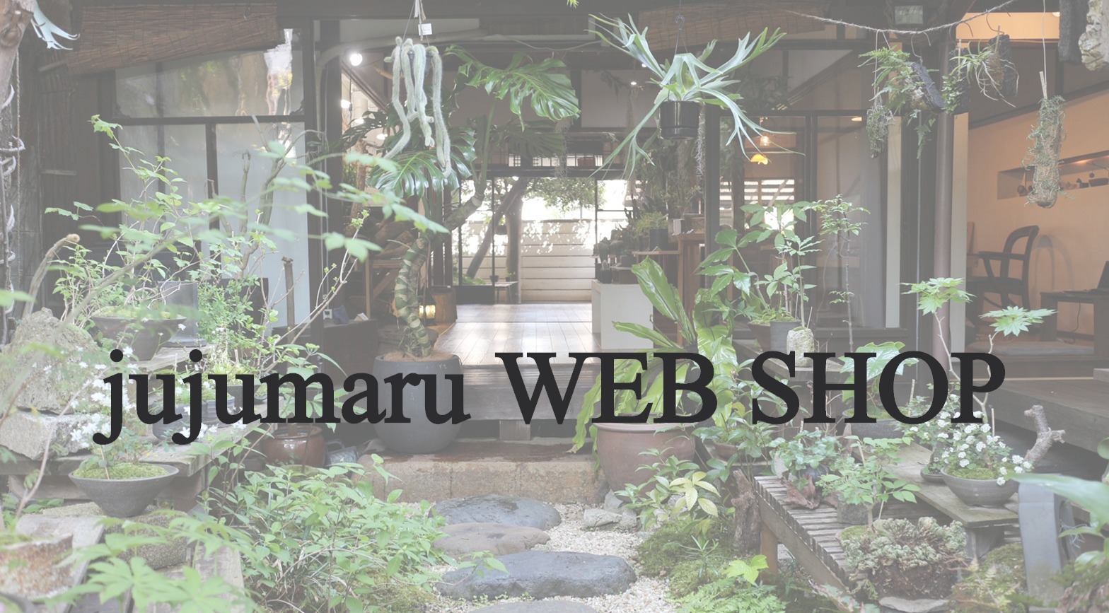 jujumaru  WEBSHOP