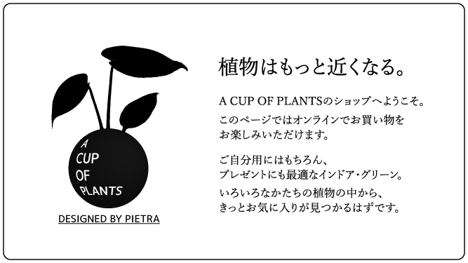 A CUP OF PLANTS