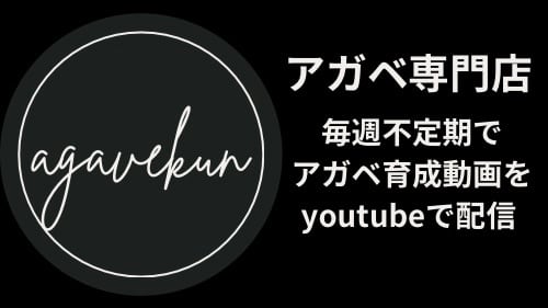 アガベ君のアガベショップ