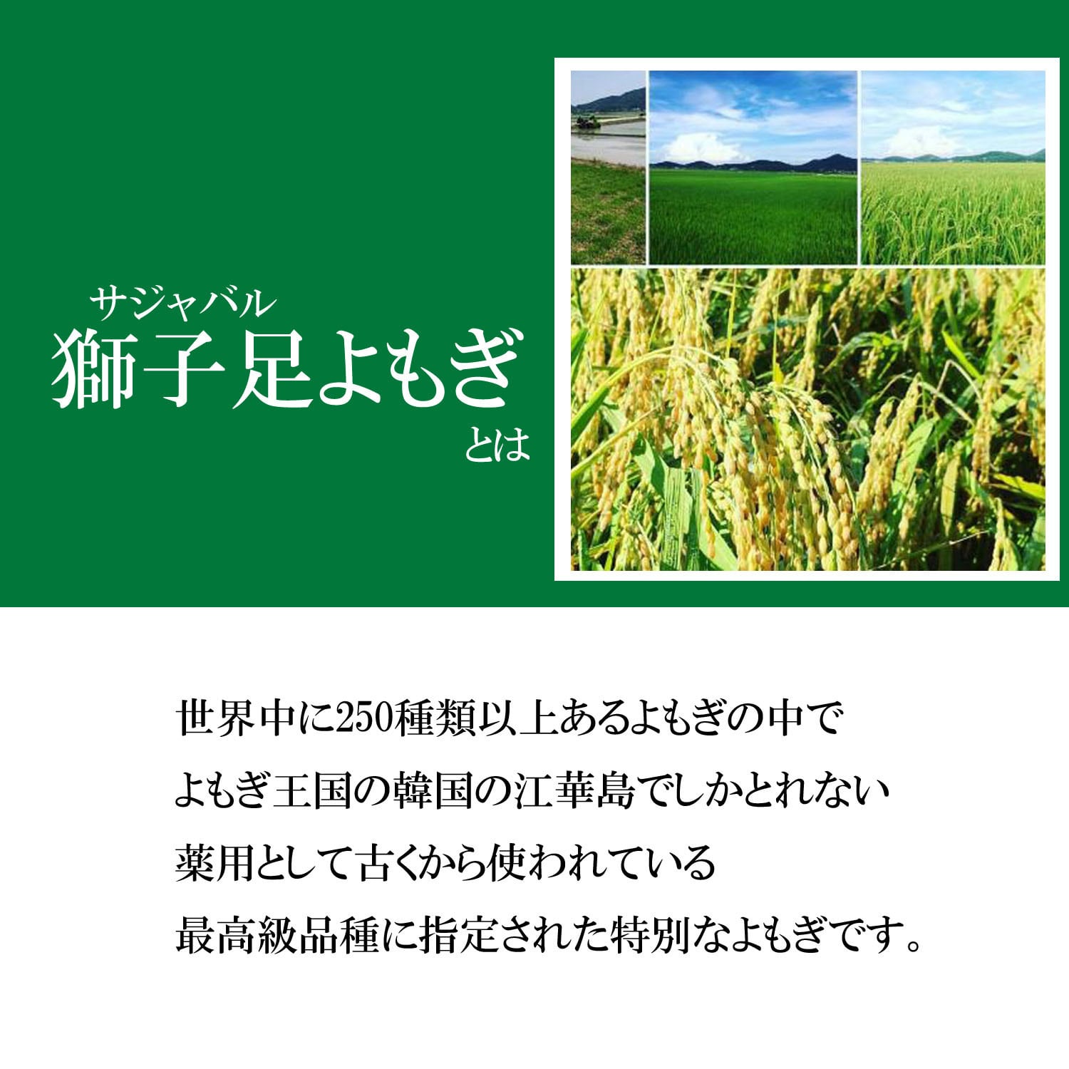 よもぎ屋mitsubachi