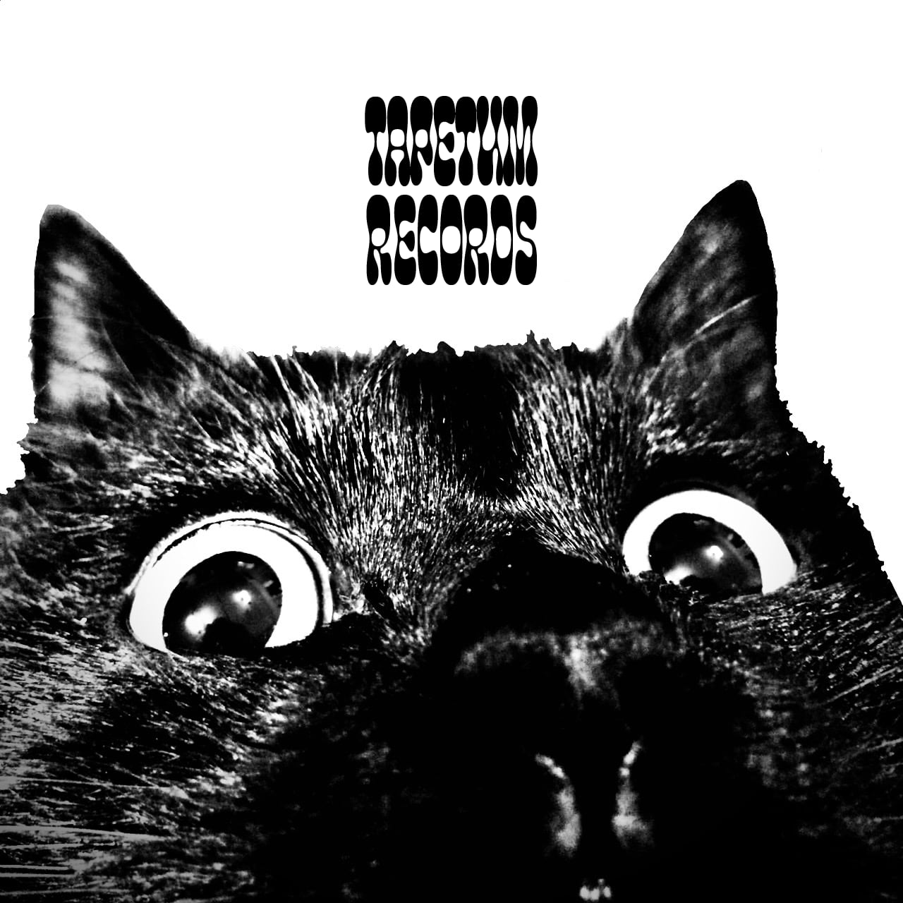 TAPETUM RECORDS