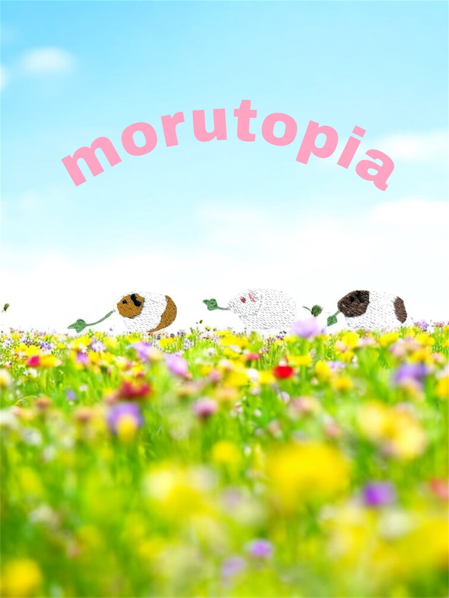 morutopia モルモット・小動物グッズのお店 (ベッド・寝袋・マット 雑貨)