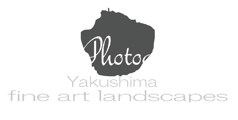 T.s.photography