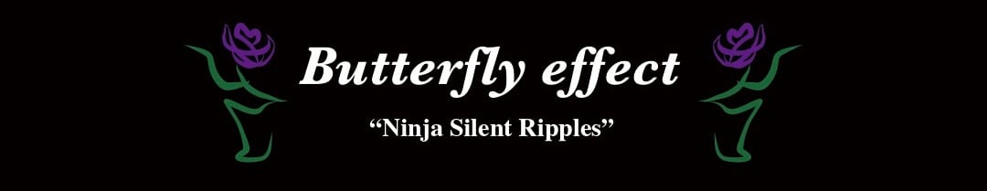 Butterfly effect