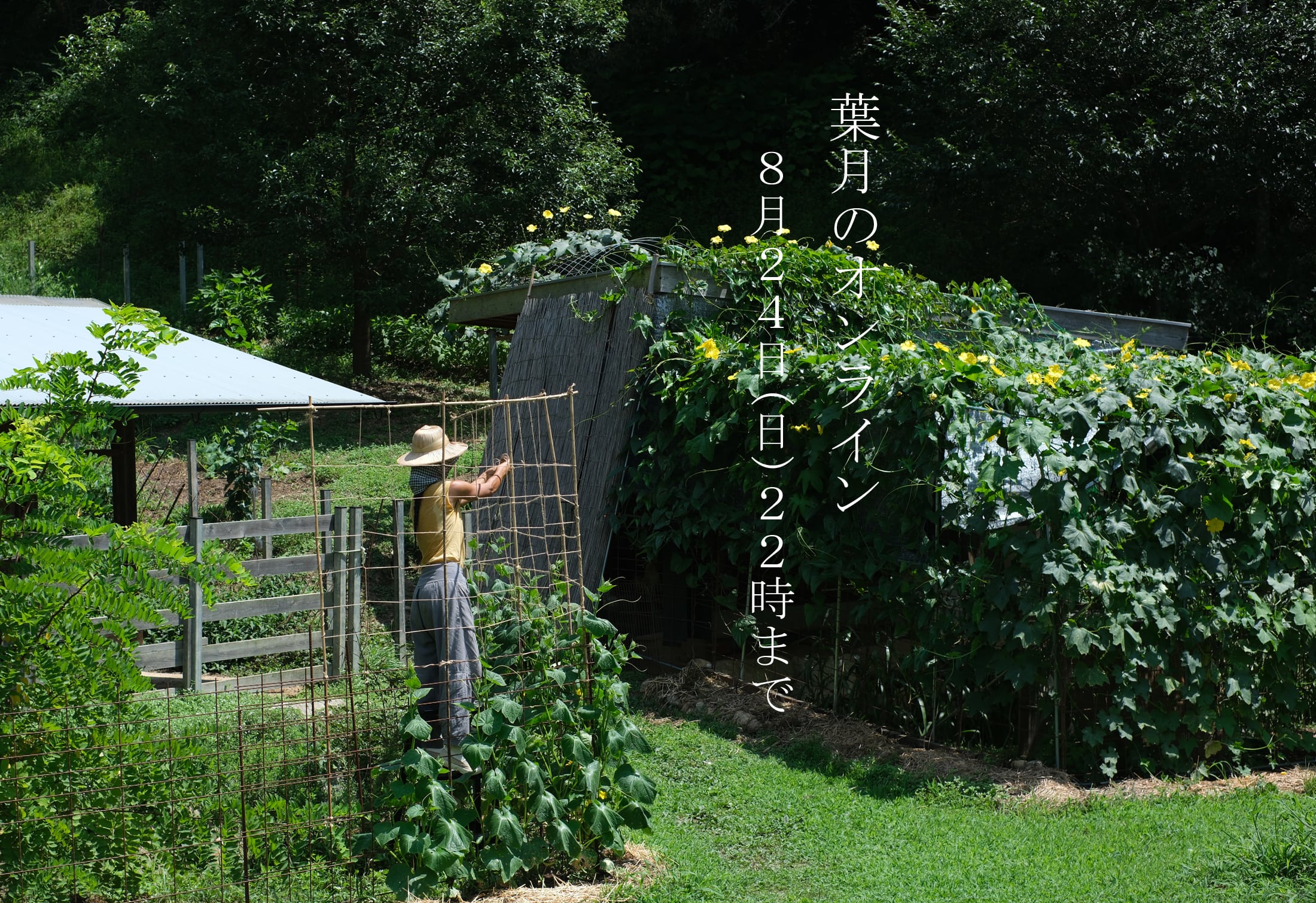 えみおわす