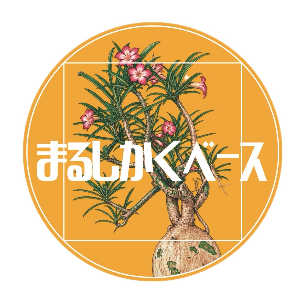 まるしかくベース