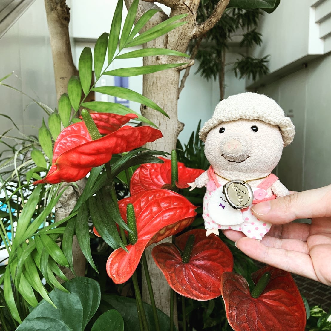 ぷーとんSサイズ お花のサロペット(おしりレース) ぷーとんSサイズ 花柄サロペット(おしりレース)