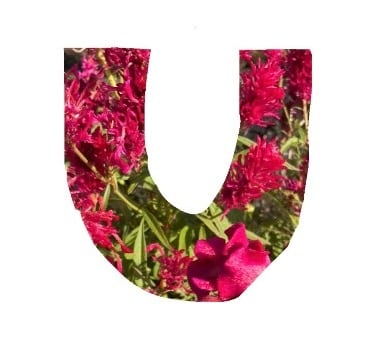 UKAIBI DESIGN WORKS MINOSEKI