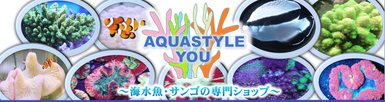 AQUASTYLEYOU | 大阪の サンゴ専門店 サンゴ の 通販 は アクアスタイルユー