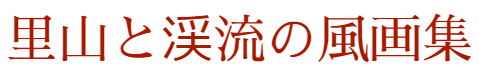 里山と渓流の風画集