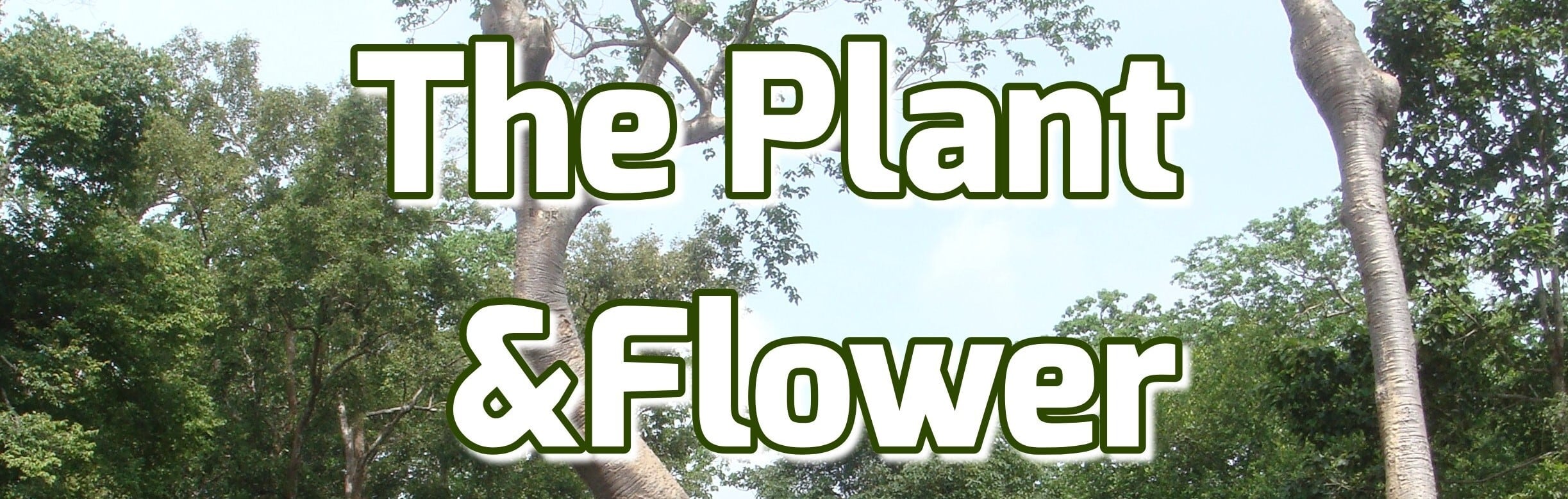 The Pant & Flower