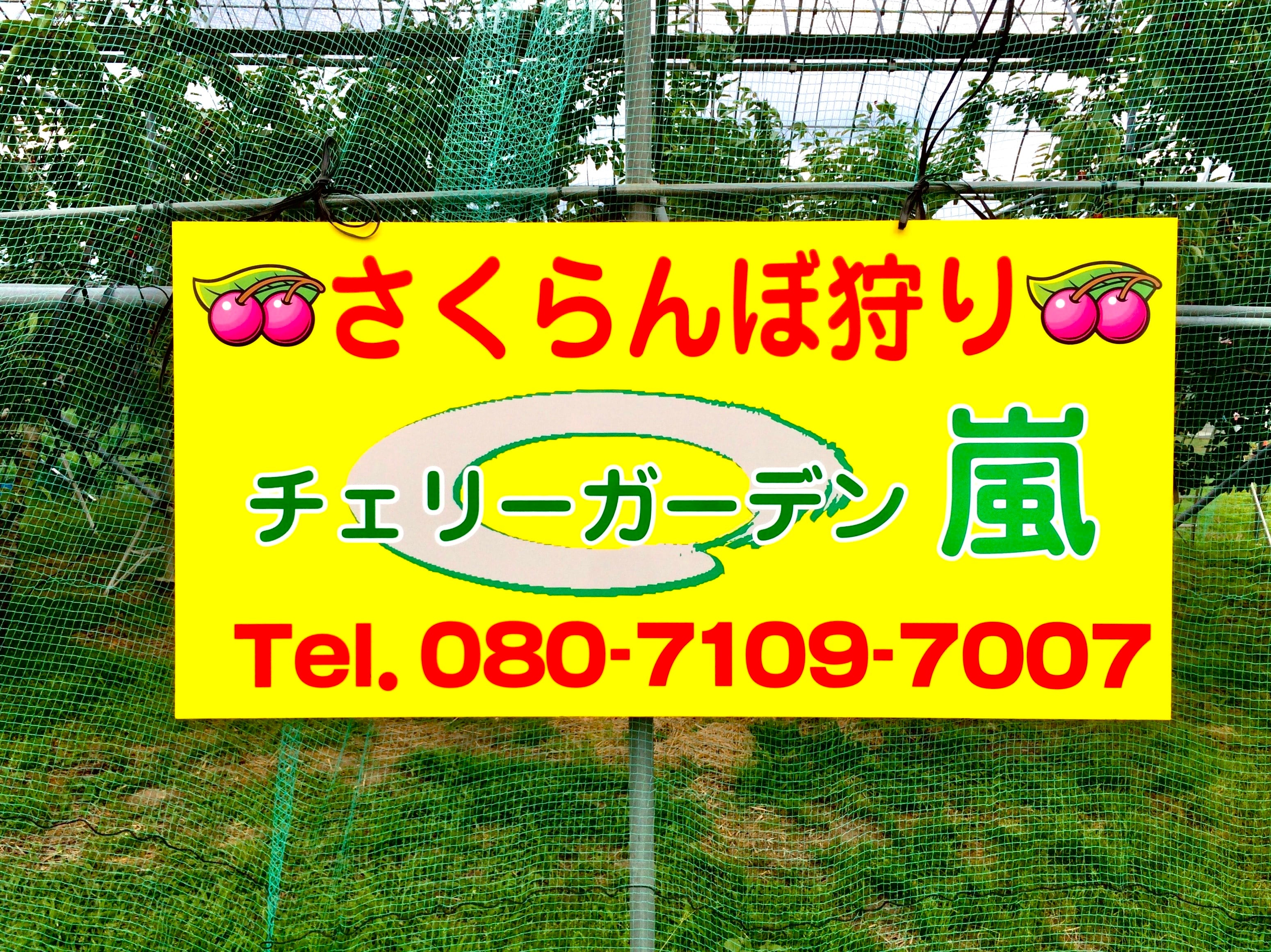 チェリーガーデン嵐