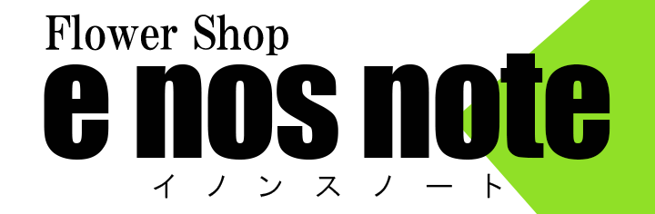 イノンスノート