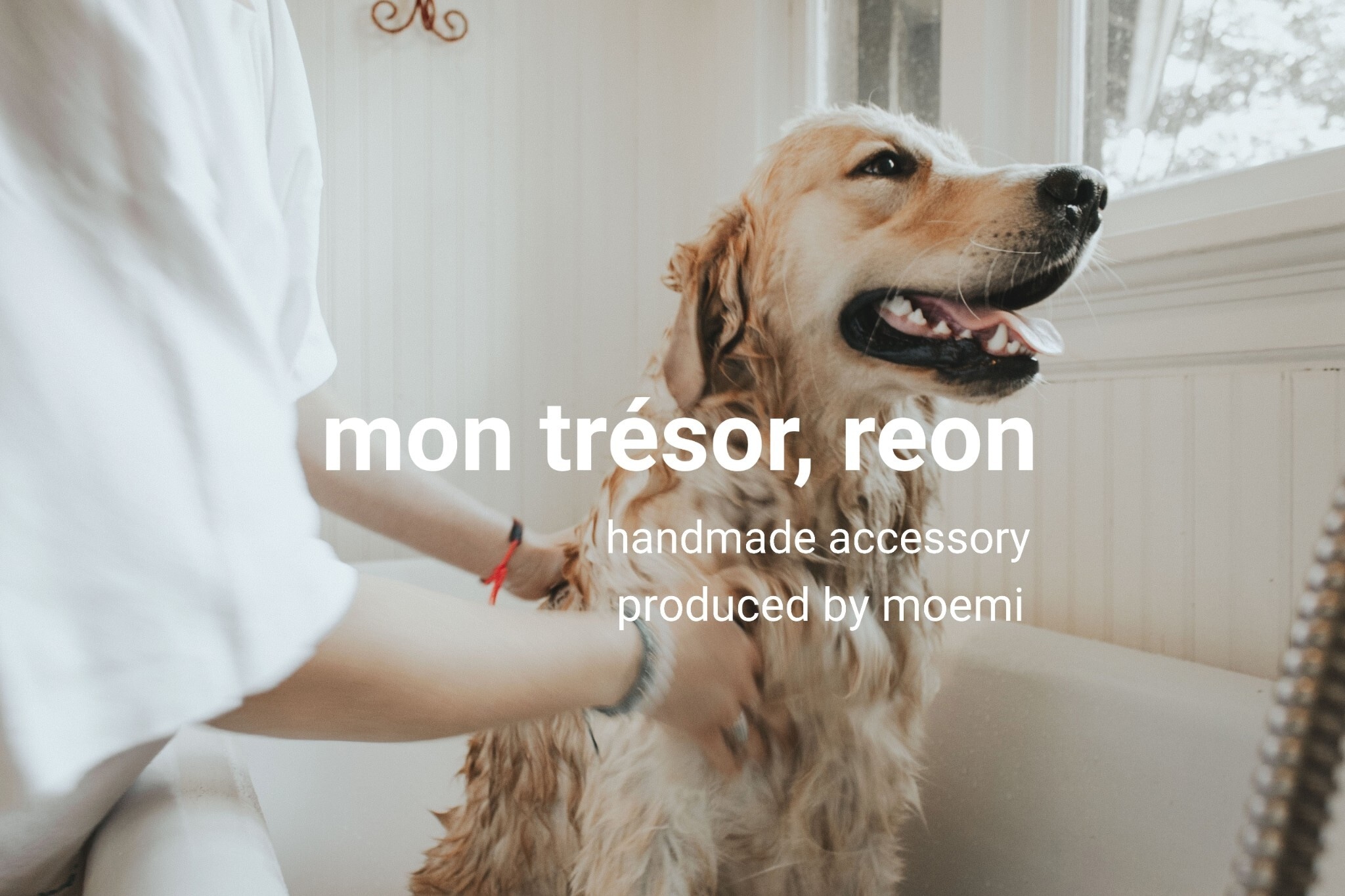 mon trésor, reon