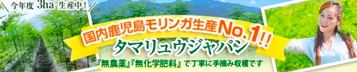 モリンガジャパン