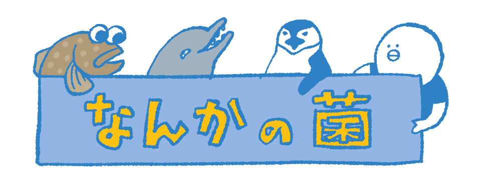 なんかの菌