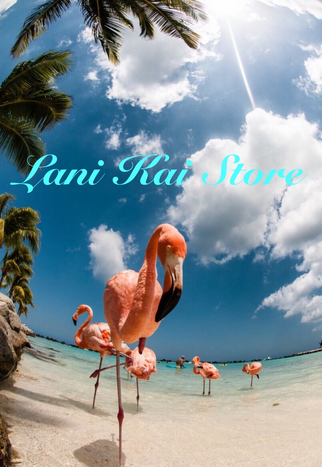 Lani Kai store