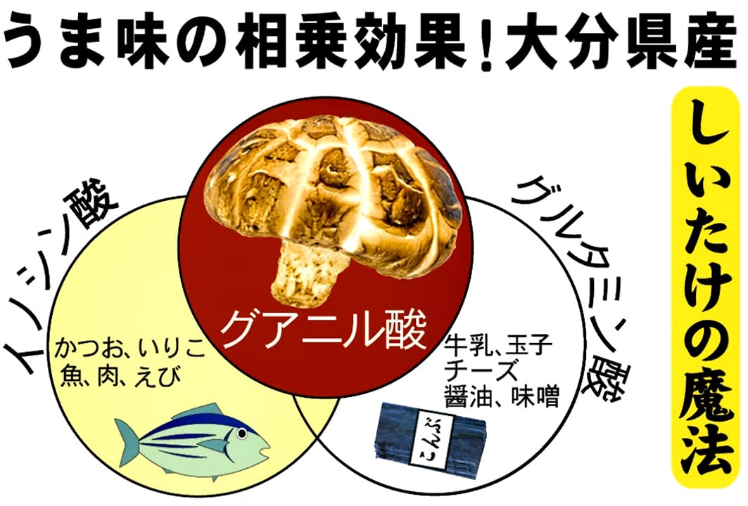 クリームオブライス　防災　SHOP