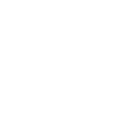 Sunlit Earth