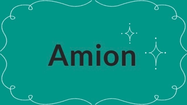 Amion