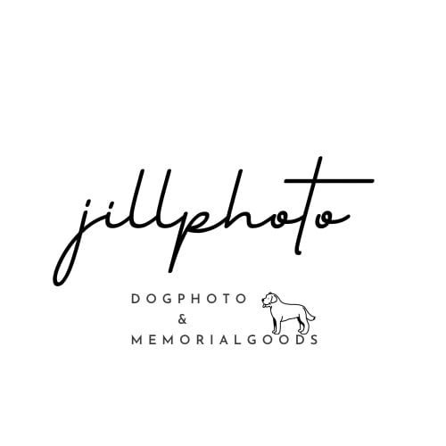 jillphoto online shop