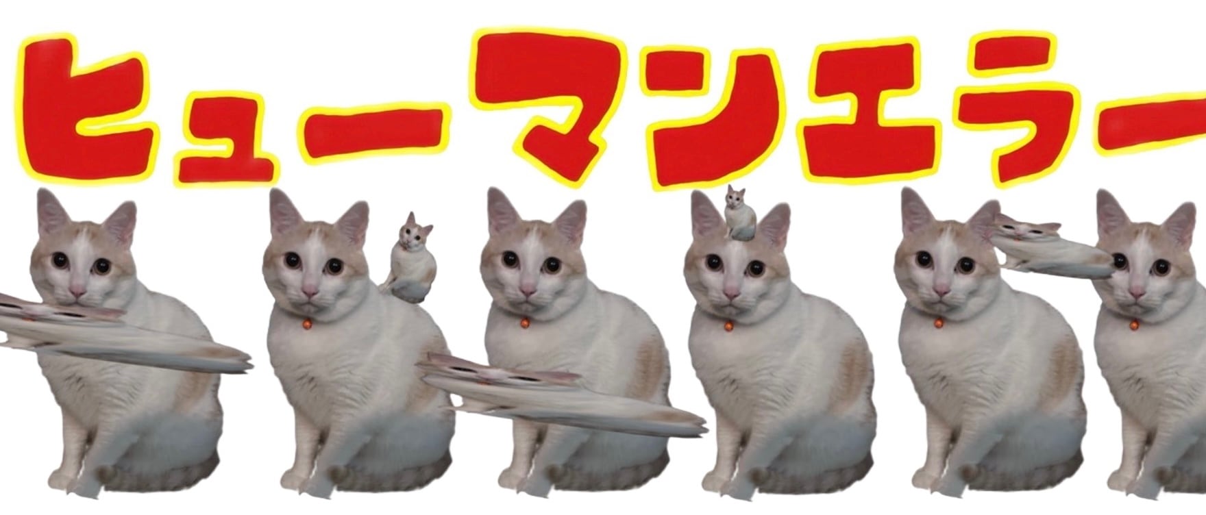 ヒューマンエラーショッピング