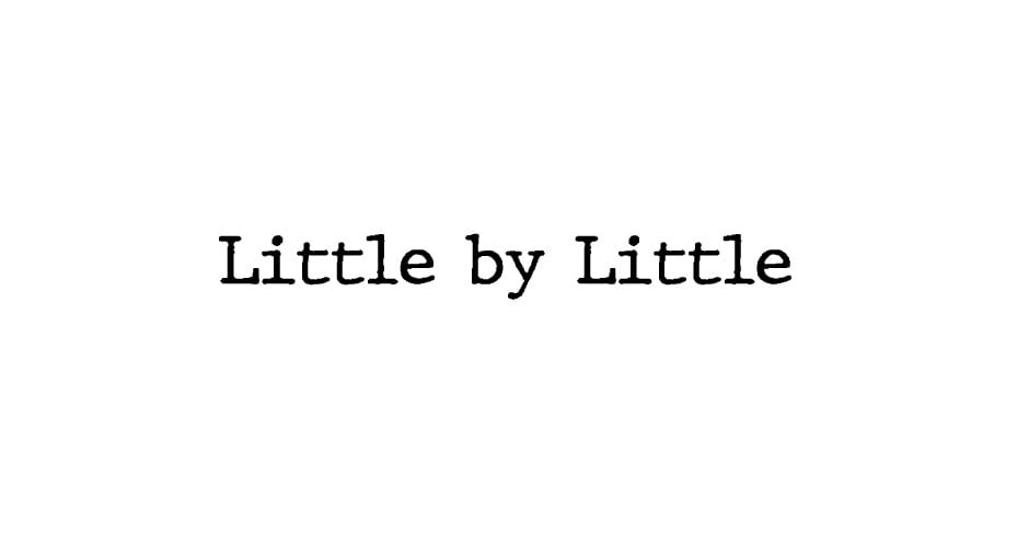 Little by Little web