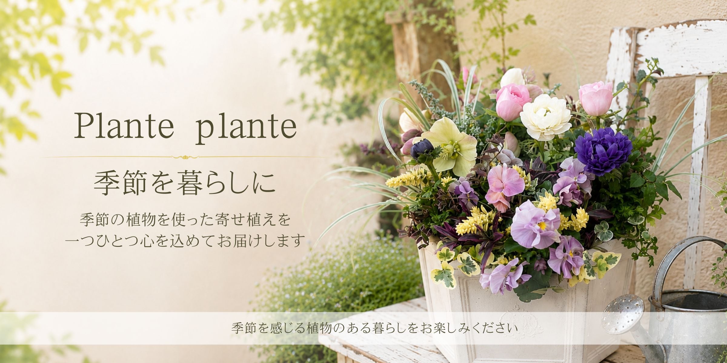 お花・観葉植物・多肉植物　寄せ植え専門店通販《plante plante　プランテプランテ》